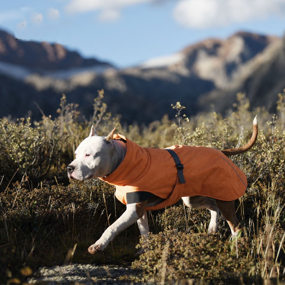 Mountain ridge dog gear on sale