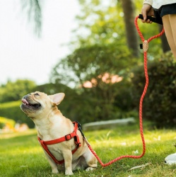 Adjustable Nylon Pet Harness and Leash
